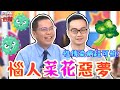 惱人菜花惡夢！孕婦私密處長滿滿？醫師崩潰：變花園！【#醫師好辣】鄭丞傑 李偉浩 田知學