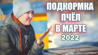 Подкормка пчёл в марте 2022. Дотянем до Апреля?