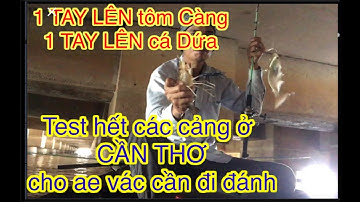 Câu tôm sông Cần Thơ | test hết tất cả cảng ở Cần Thơ cho Anh Em chiến | River fishing