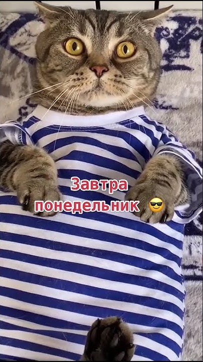 Настроение на 0 - YouTube