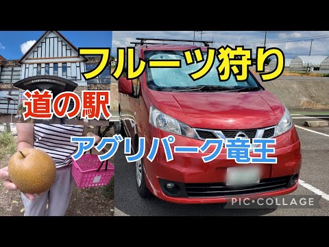 【キャンピングカー】道の駅でフルーツ狩りができるアグリパーク竜王で梨狩りを楽しむ