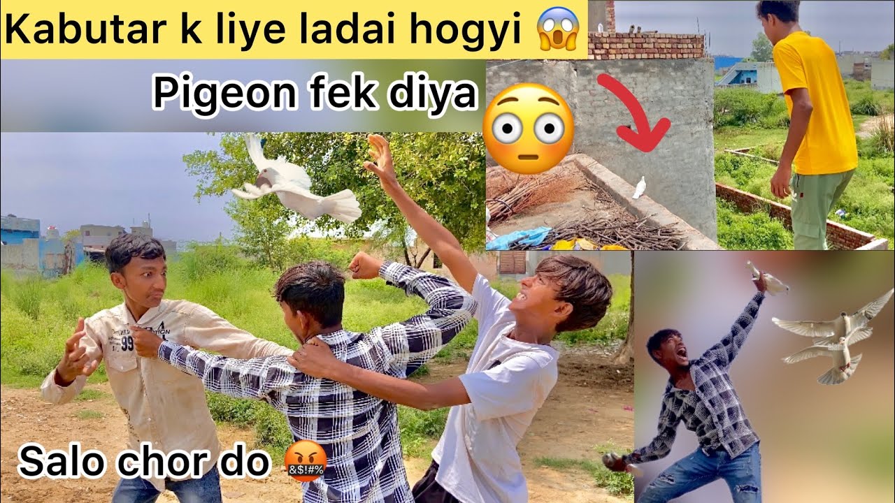 Kabootar k liye hui ladai 😳 ( Abdul & Vicky fighting for pigeon 😱 )
