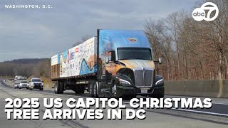 LIVE | 2025 U.S. Capitol Christmas Tree arrives in DC after 3,000-mile journey from Nevada
