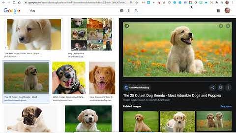 Lesson 2 - Intro to Pixlr and Cropping a Photo