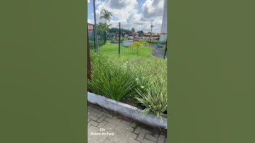 Ciir Belém do Pará 💛