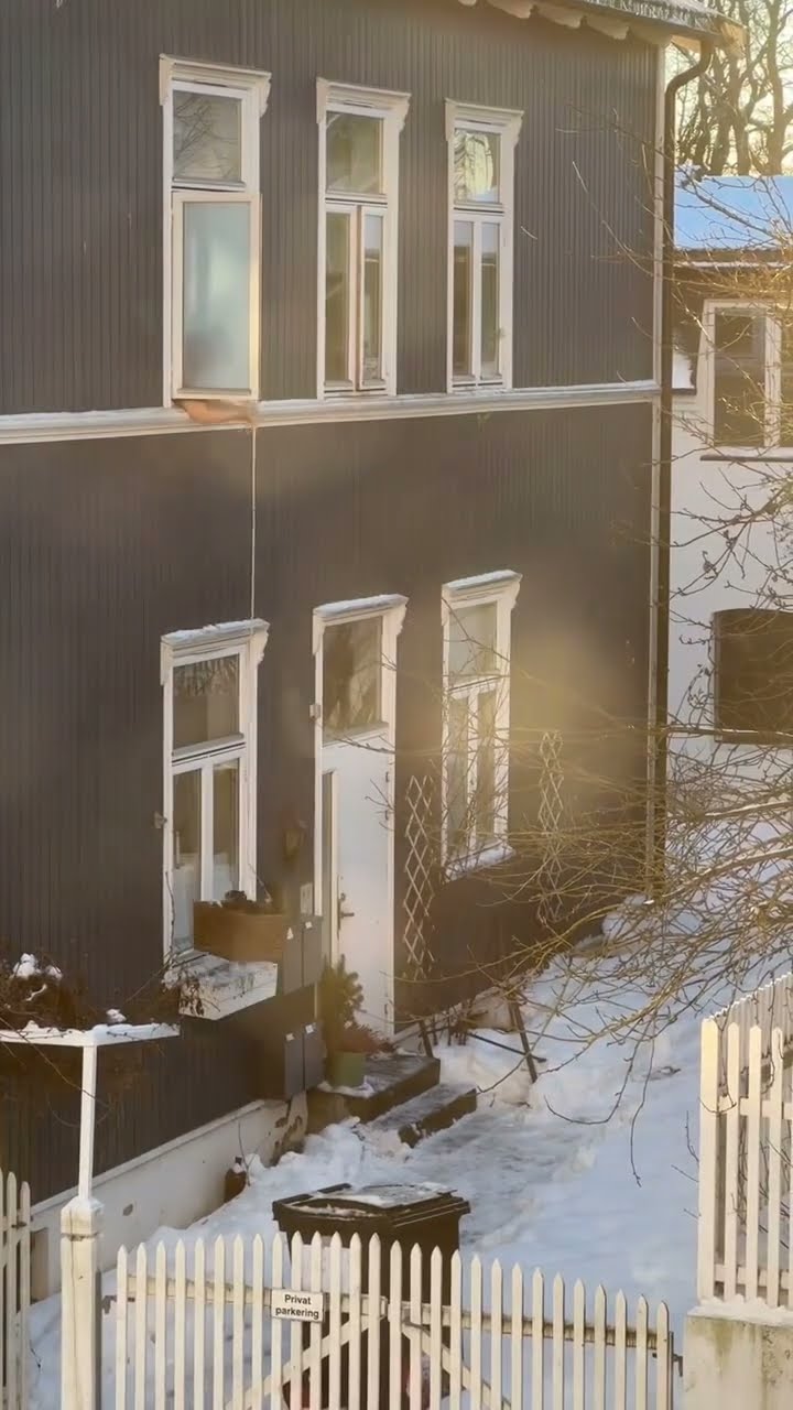 Top des vidéos très mignon ♥️ ❄️ ♥️