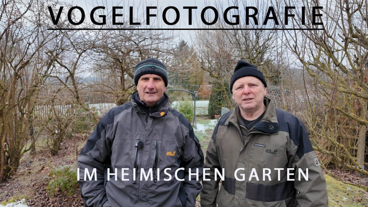 Vögel im Garten Fotografieren