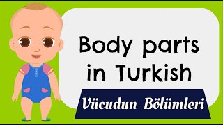 Body parts in TURKISH-Basic Turkish