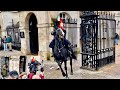 Incredible horsemanship royal guards handle high drama at horse guard