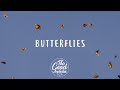 Abe Parker - Butterflies (Lyrics / Lyric Video)
