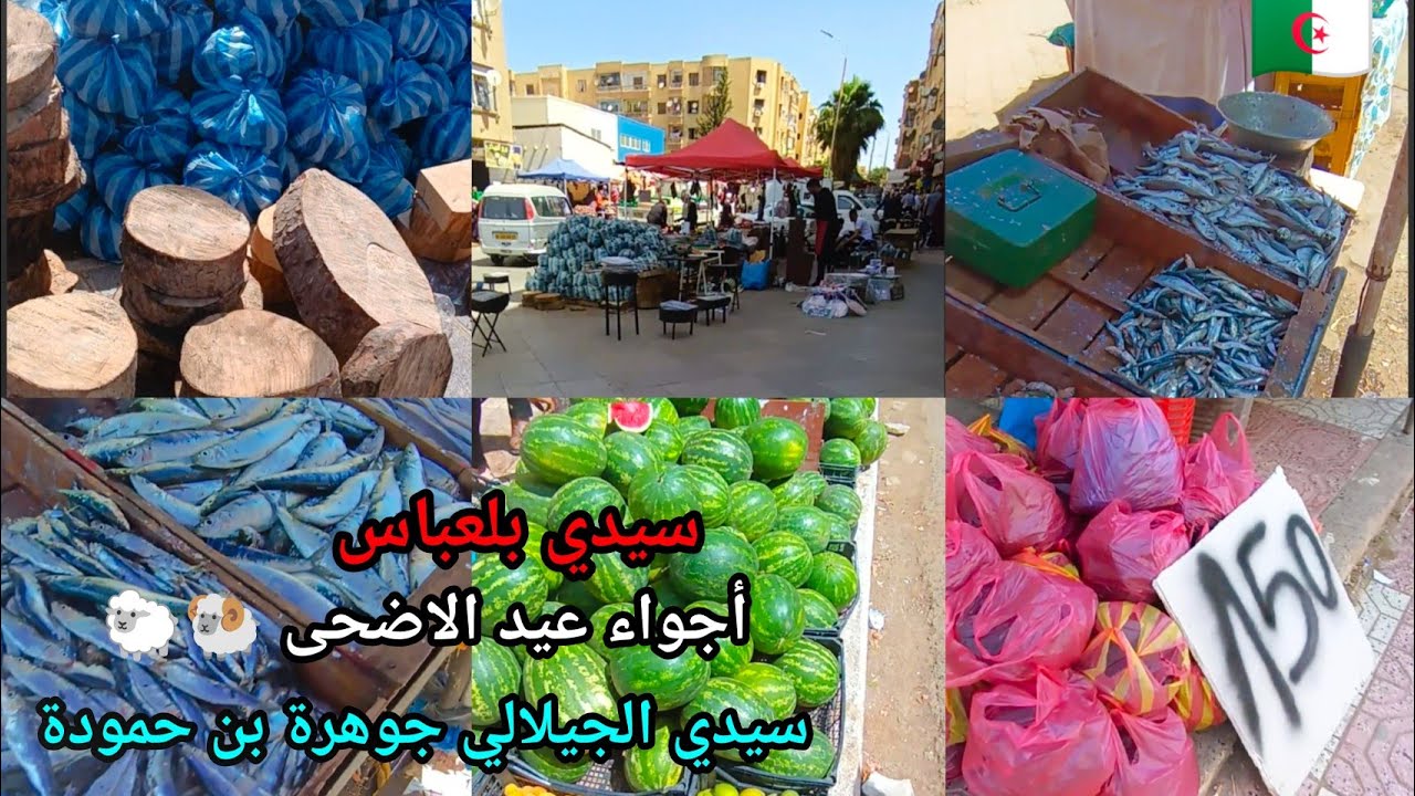 سيدي بلعباس أجواء عيد الاضحى في حي سيدي الجيلالي جوهرة بن حمودة Marché  Ben Hamouda Sidi Djilali