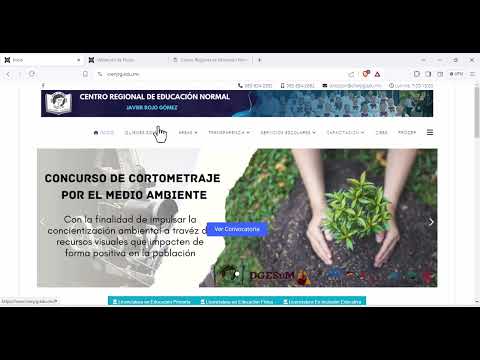 Miniatura: Verificación de constancias