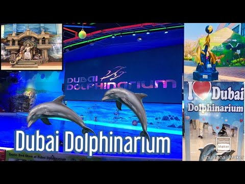 Dubai Dolphinarium.