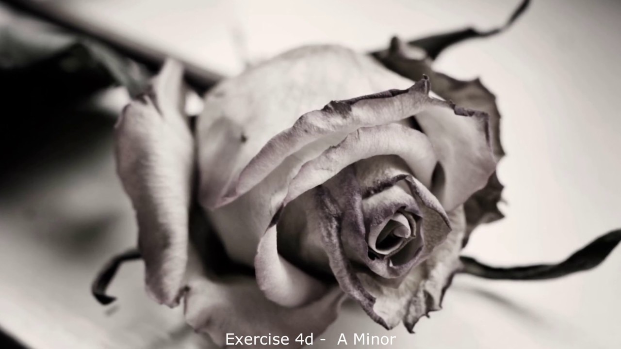 Walter Piston - Harmony 5th Edition - Chapter 24 Exercises - YouTube