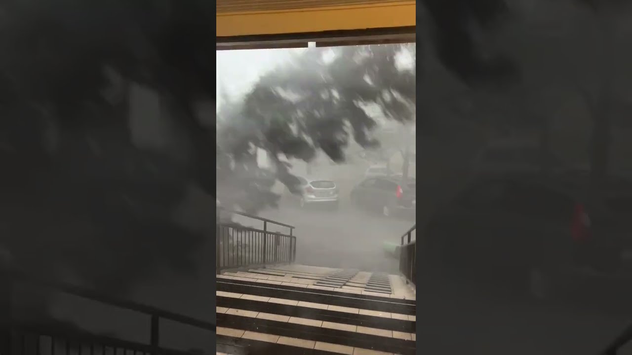 Strong Winds And Heavy Rain Bring Down Tree In Debrecen Hungary