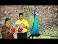 🦜PUNNAI VANATHU KUILE...புன்னை வனத்து குயிலே...SP.SUNDAR | GAYATHRI | Muthukaalai..🎉🎉🦜 Mp3 Song