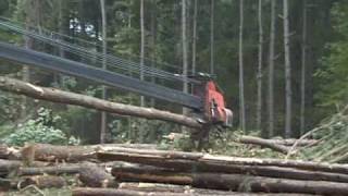 Timber Harvest: Delimbing 3