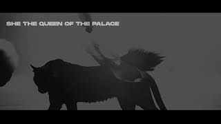 Serhat Durmus Plume New Whatsapp Whatsapp Status 2024