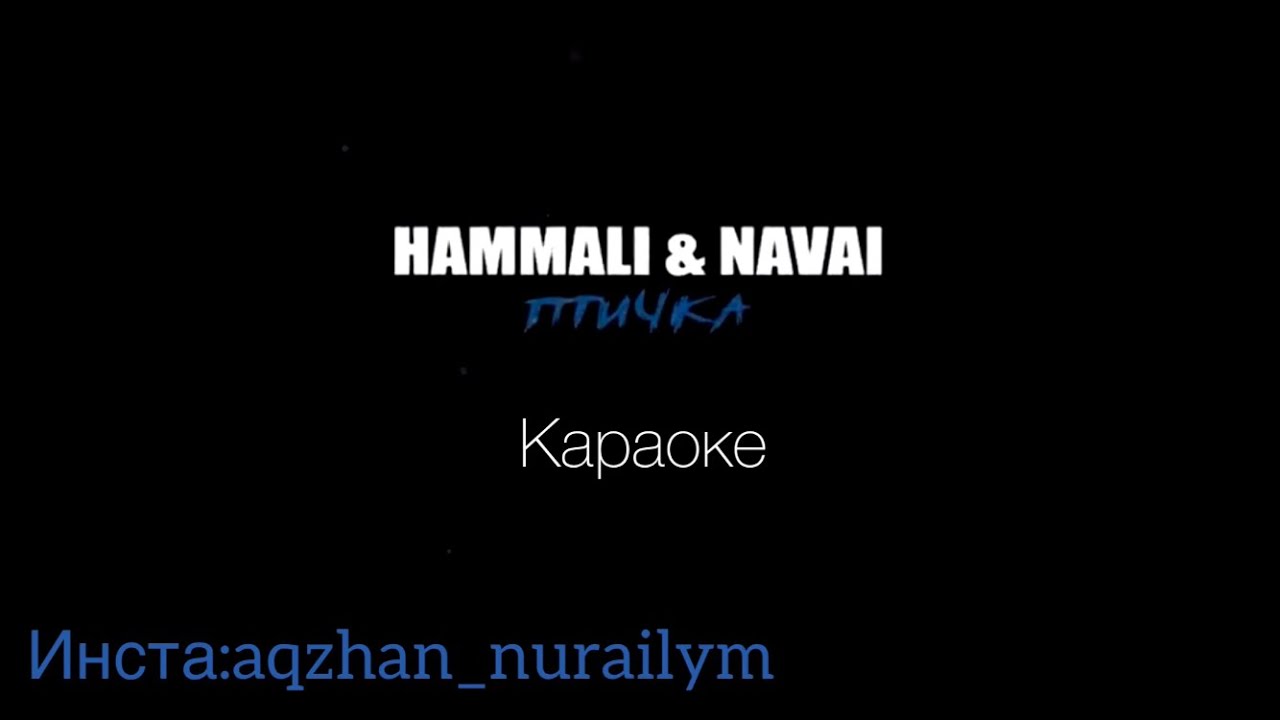 Hammali navai птичка пародия. Караоке птичка HAMMALI Navai. Птичка HAMMALI Navai текст. Птичка HAMMALI Navai караоке с текстом. Текст песни птичка HAMMALI Navai.