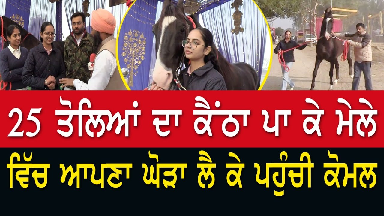 25 ਤੋਲਿਆਂ ਦਾ ਕੈਂਠਾ ਪਾ ਕੇ ਮੇਲੇ ਵਿੱਚ ਆਪਣਾ ਘੋੜਾ ਲੈ ਕੇ ਪਹੁੰਚੀ ਕੋਮਲ || Horse Riding