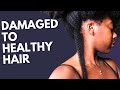 “From Damaged to Thriving: Real Natural Hair Transformation (You Can Do This Too)”