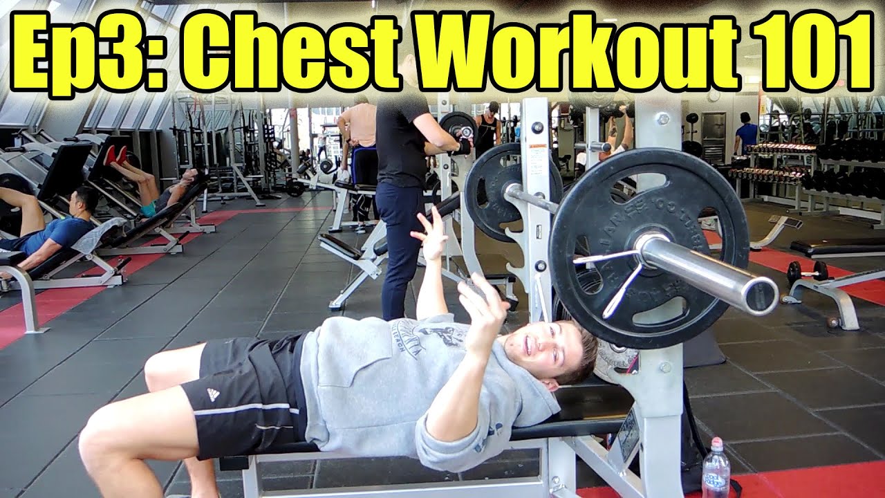 Gym Workouts for Beginners 3: Chest Day