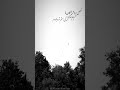 فصل پرواز پلیکان ها سورنا رپ رپ فارسی