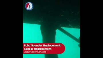 Echo Sounder Replacement: Sensor Replacement | DIVING STATUS