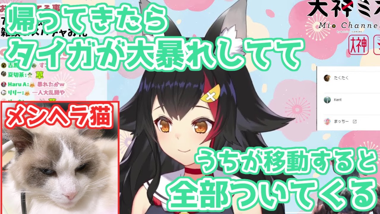 【ホロライブ切り抜き】最近タイガ（飼い猫）のメンヘラ化が加速してる話をするミオちゃん