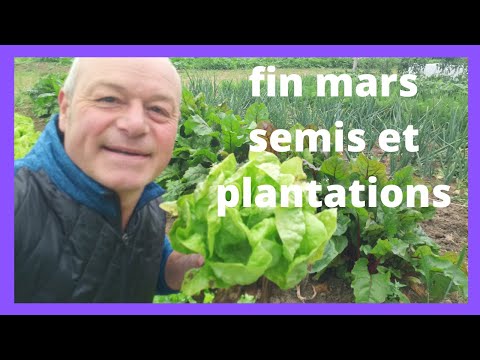que faire fin