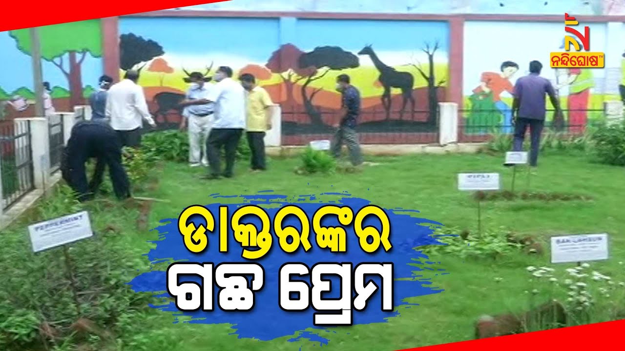 Medicinal Plants Garden In Rourkela Government Hospital NandighoshaTV