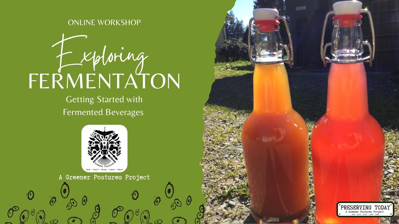 Getting Started with Fermented Beverages (online workshop)