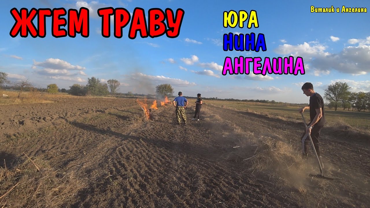 Жгу грант балл