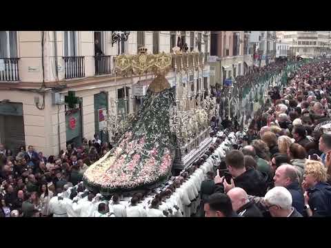 Real Cofradía de Nuestro Padre Jesús a su Entrada en Jerusalén y María Santísima del Amparo