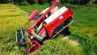 Incredible LOVOL RG130 Combine Harvester Powerful Speed & Expert Rice Cutting