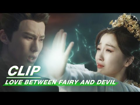 Qing Cang asks Xiyun to kill him | Love Between Fairy and Devil EP36 | 苍兰诀 | iQIYI