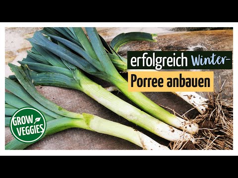 Video: Lauch anbauen: Wie man Lauch im Garten anbaut