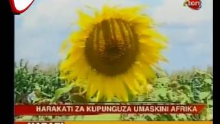 Kupunguza Umaskini Kwa Nchi Za Afrika Mashariki