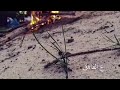 قصة حب حقيقة في ليبيا 2015