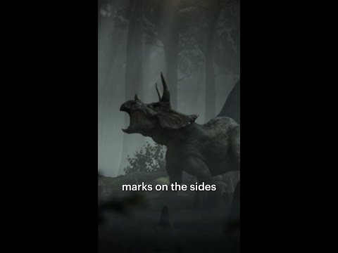 When Triceratops Fought Back 🦖⚔️🦕 #shorts #Triceratops