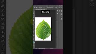 Photoshop Hacks You NEED to Know in 2026!  #photoshop #hack #trendingvideo  #tipsandtricks #2026