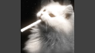 New Jeans - dreamsoda