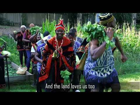 Tata TheOptimist NSAI NSO Official Video