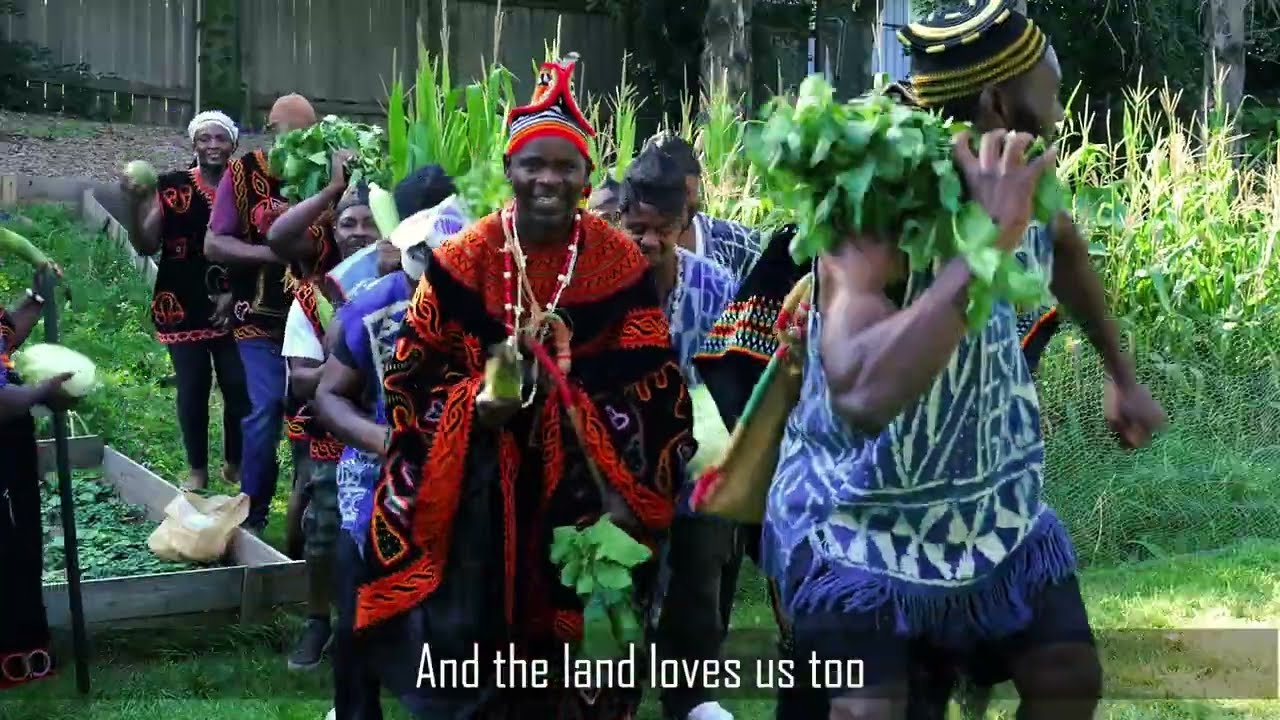 Tata theOptimist - NSAI NSO  - (Official Video)