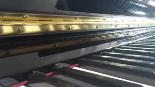 Lizz Chloe 彤彤-吃货钢琴版 Piano Version