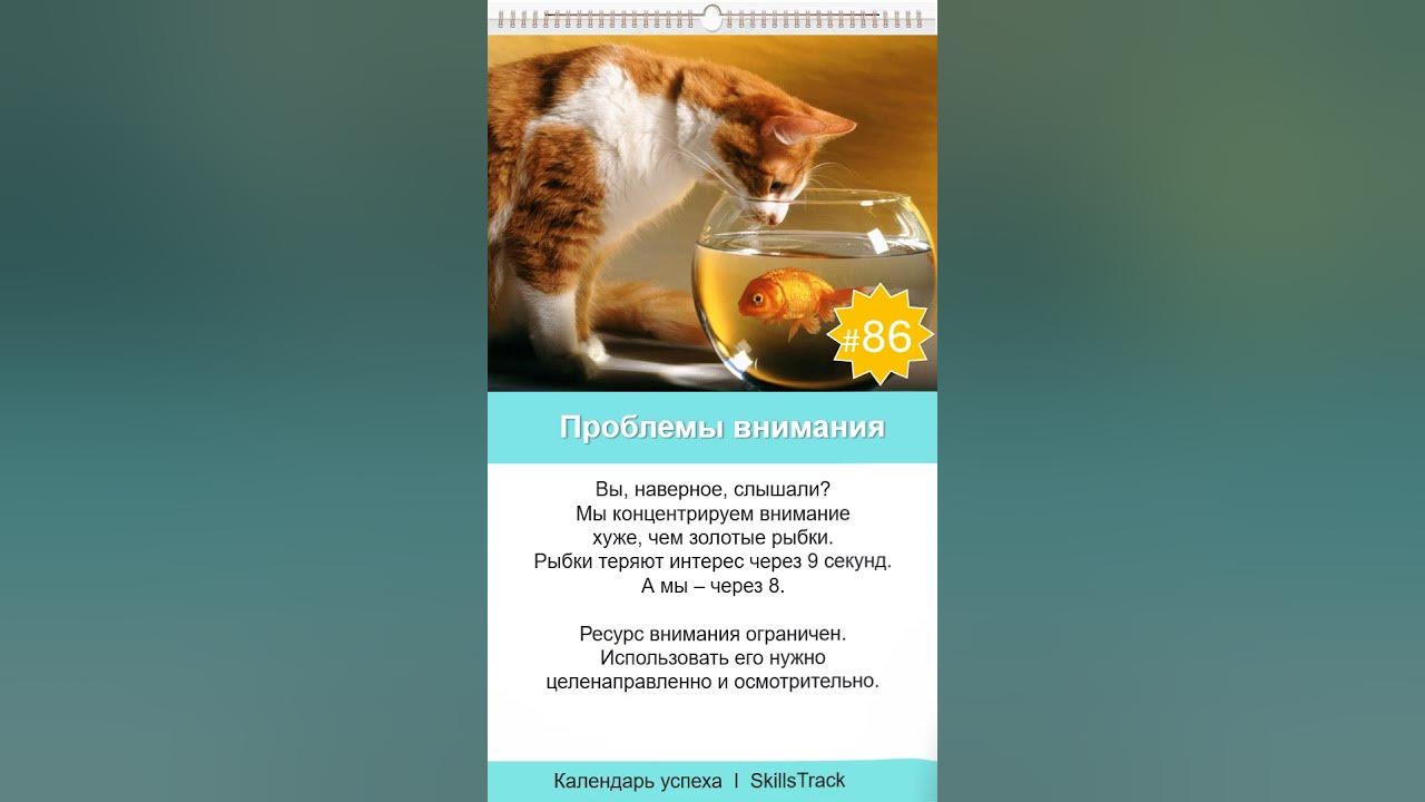 Календарь успеха. Проблемы внимания - YouTube