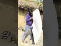 देसी दिमाग का कमाल देखिए 😆🔥#Shorts#FunnyShorts#DesiComedy#ViralShorts#ComedyVideo#ComedyShorts