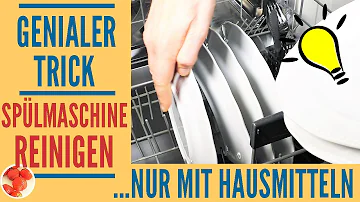 Wie reinige ich die Spülmaschine mit Hausmitteln?