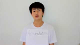 The Y.K. Dictionary - Accumulation