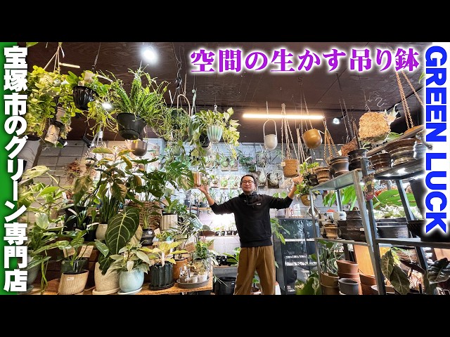 観葉植物専門店グリーンラック】狭い室内こそ空間を生かした吊り鉢が